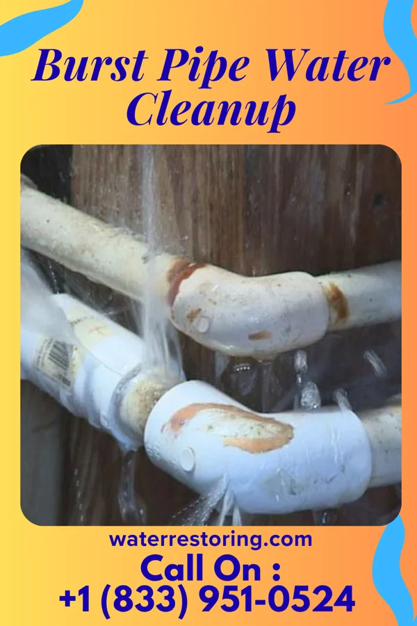 Burst Pipe Water Cleanup in Barneveld, WI
