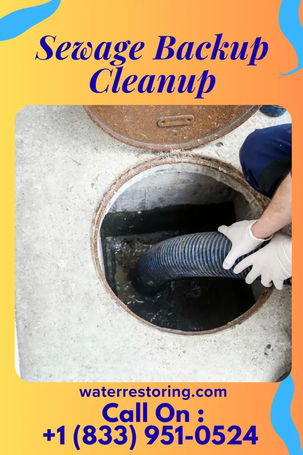 Sewage Backup Cleanup in Barneveld, WI