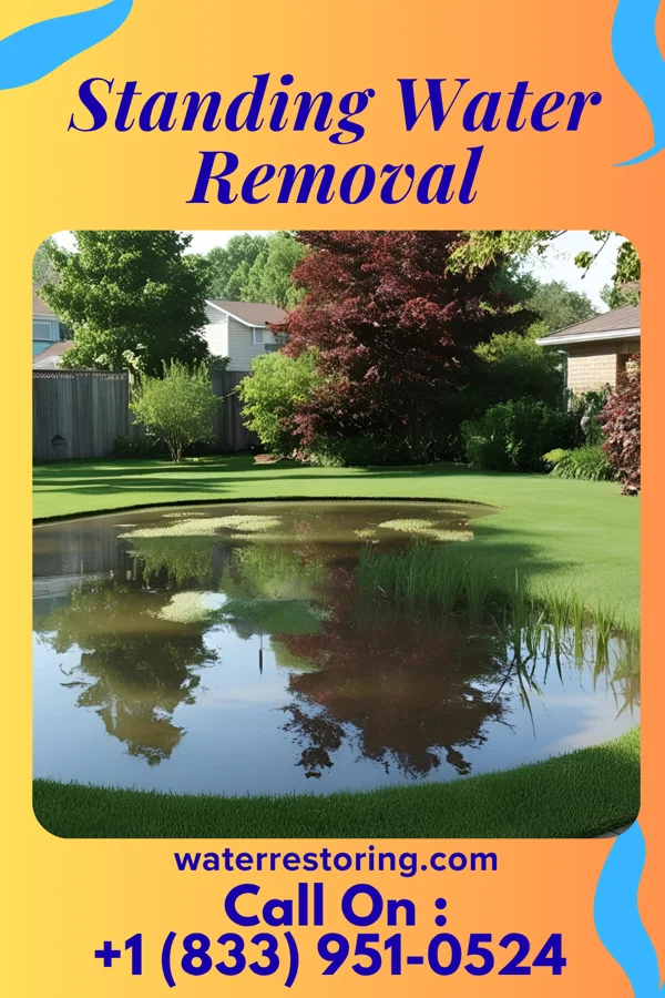 Standing Water Removal in Barneveld, WI
